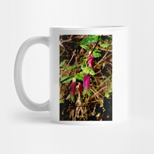 Native Fuchsia Mug